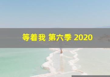 等着我 第六季 2020